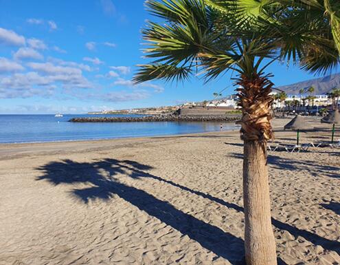 NewsletterFeb2021-169