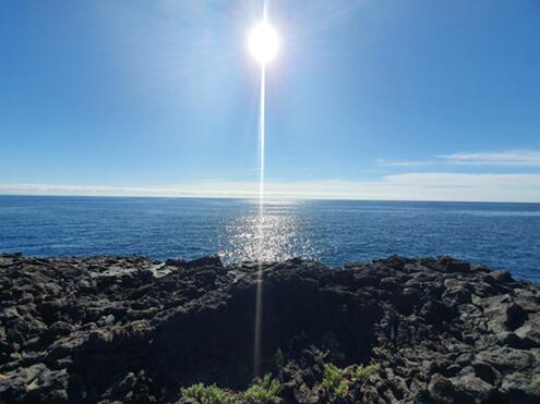 Boletín de noticiasFeb2021-88