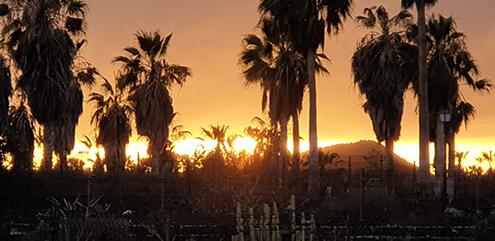 Noticias-Junio-20-a4