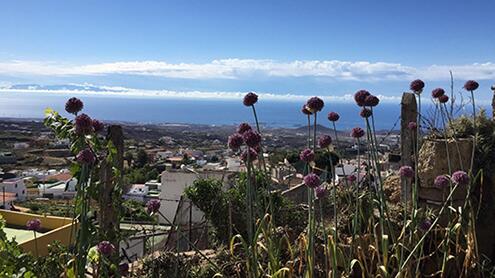 Noticias-Junio-20-a2