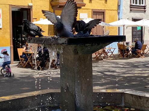 Noticias-21-30 de abril