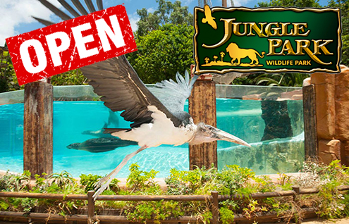 Jungle-Park-09-20