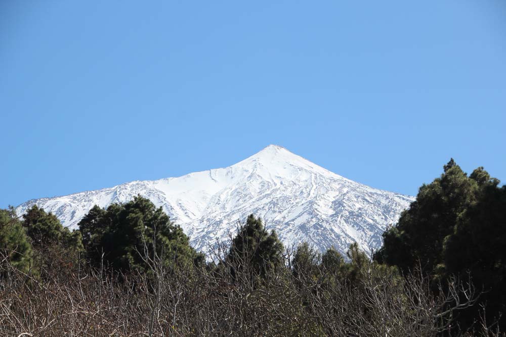 Mount-13