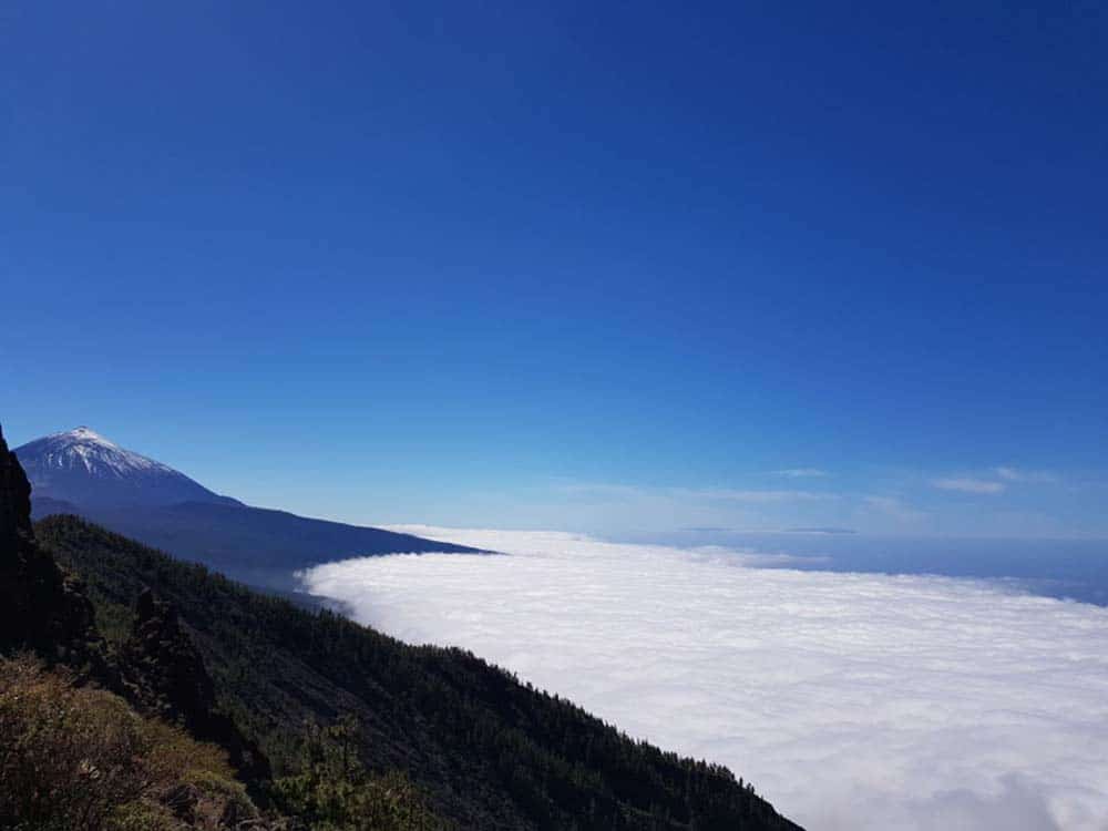 Mount-9