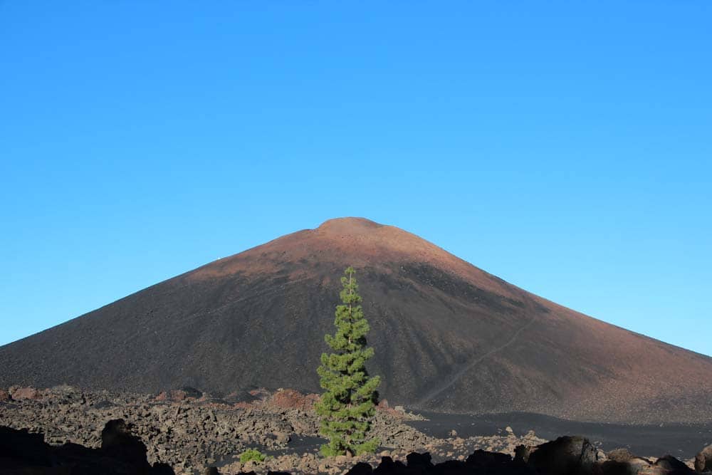Mount-6